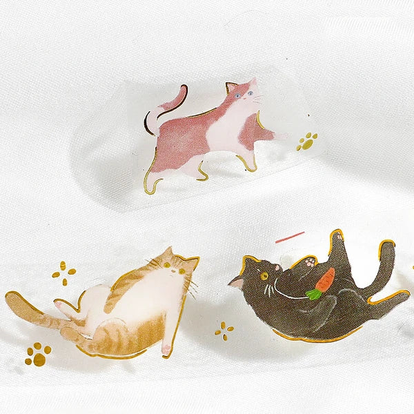 Cat Play Clear PET Tape