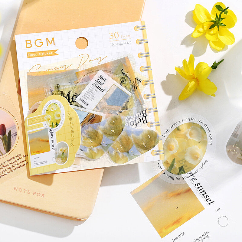 Yellow Photo PET & Washi Deco Stickers closeup on semi-transparent floral stickers - Paper Kooka Australia