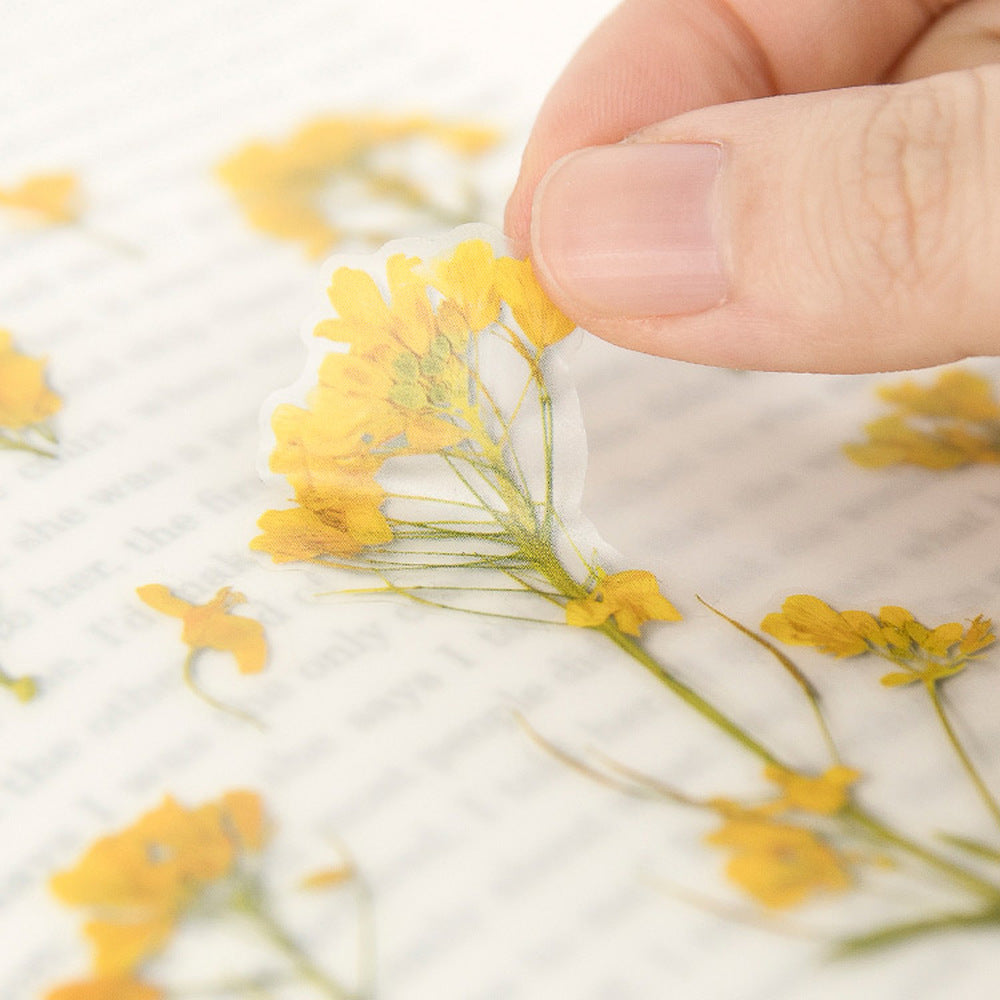 Pressed Flower Stickers - Rapeseed Flower - Paper Kooka