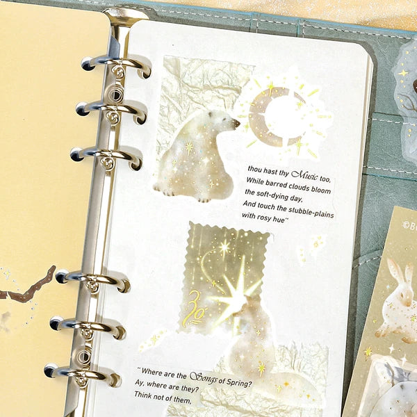 Stardust Magic PET Flake Stickers | Moon