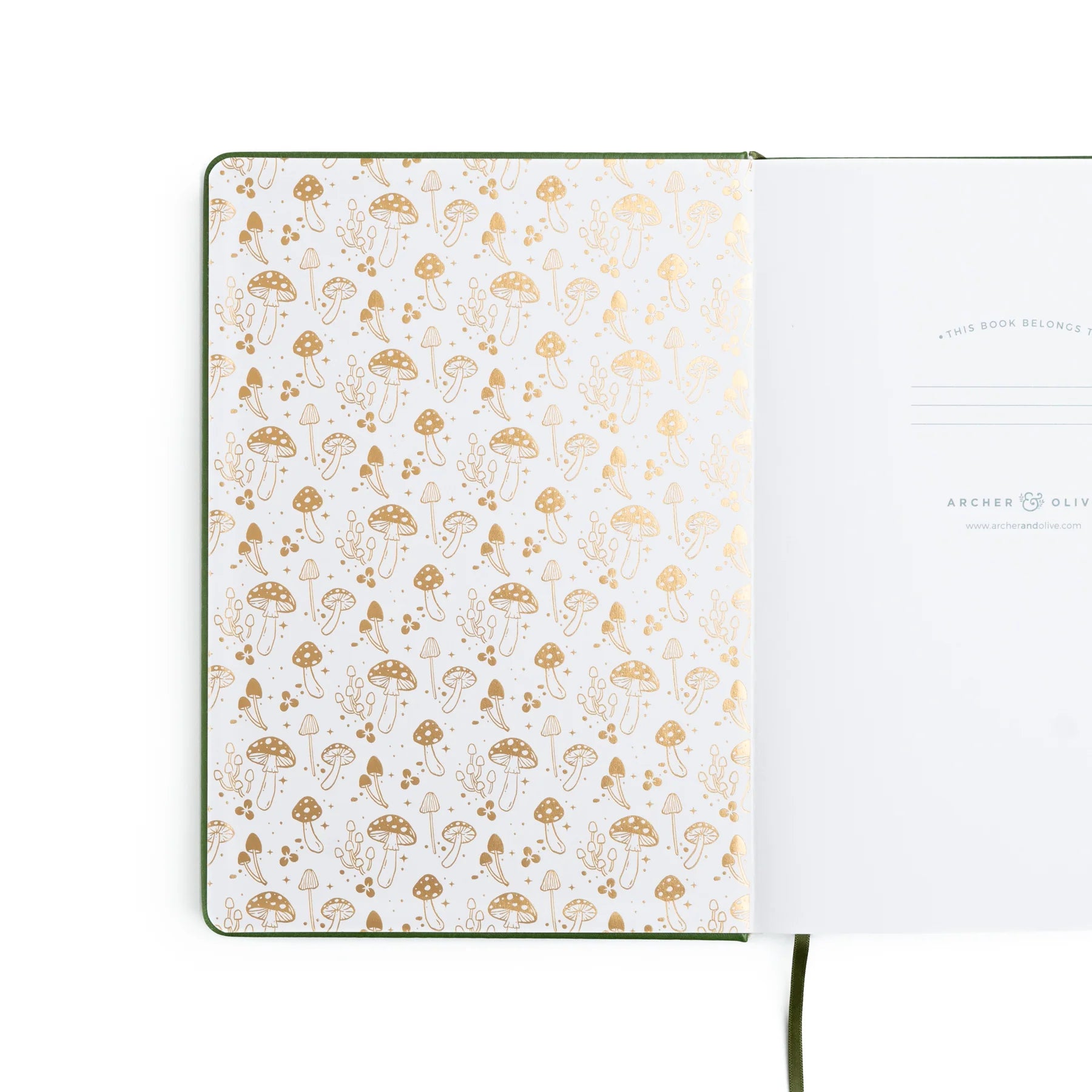 B5 Dotted Notebook 160gsm | Mushroom Monarch