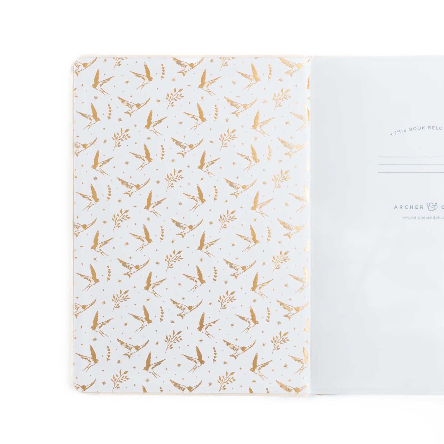 B5 Dotted Notebook 160gsm | Swallows