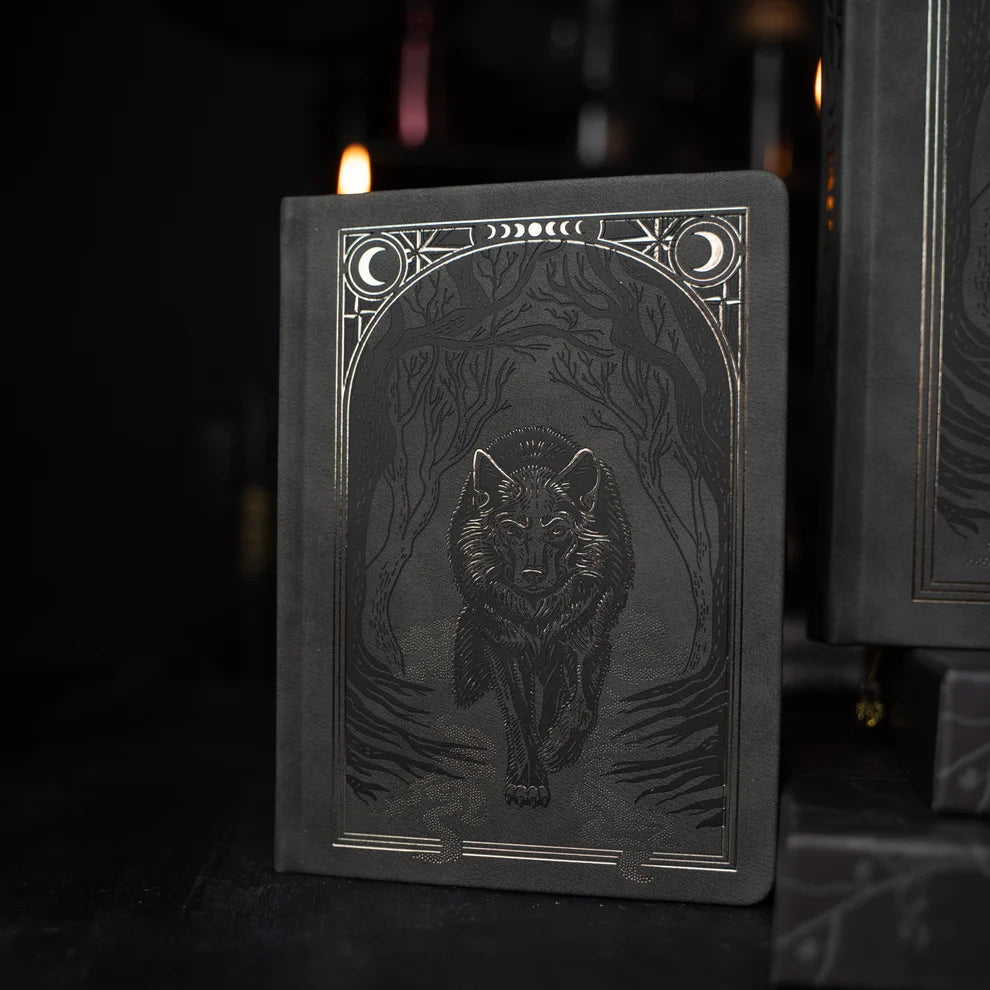 B5 Dotted Notebook 160gsm | Wolf in the Night