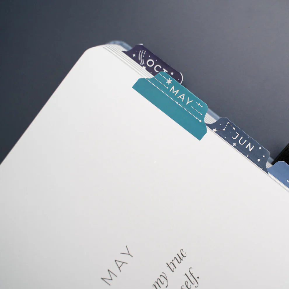 Monthly Vinyl Planner Tabs | Wonderstruck [PRE-ORDER]