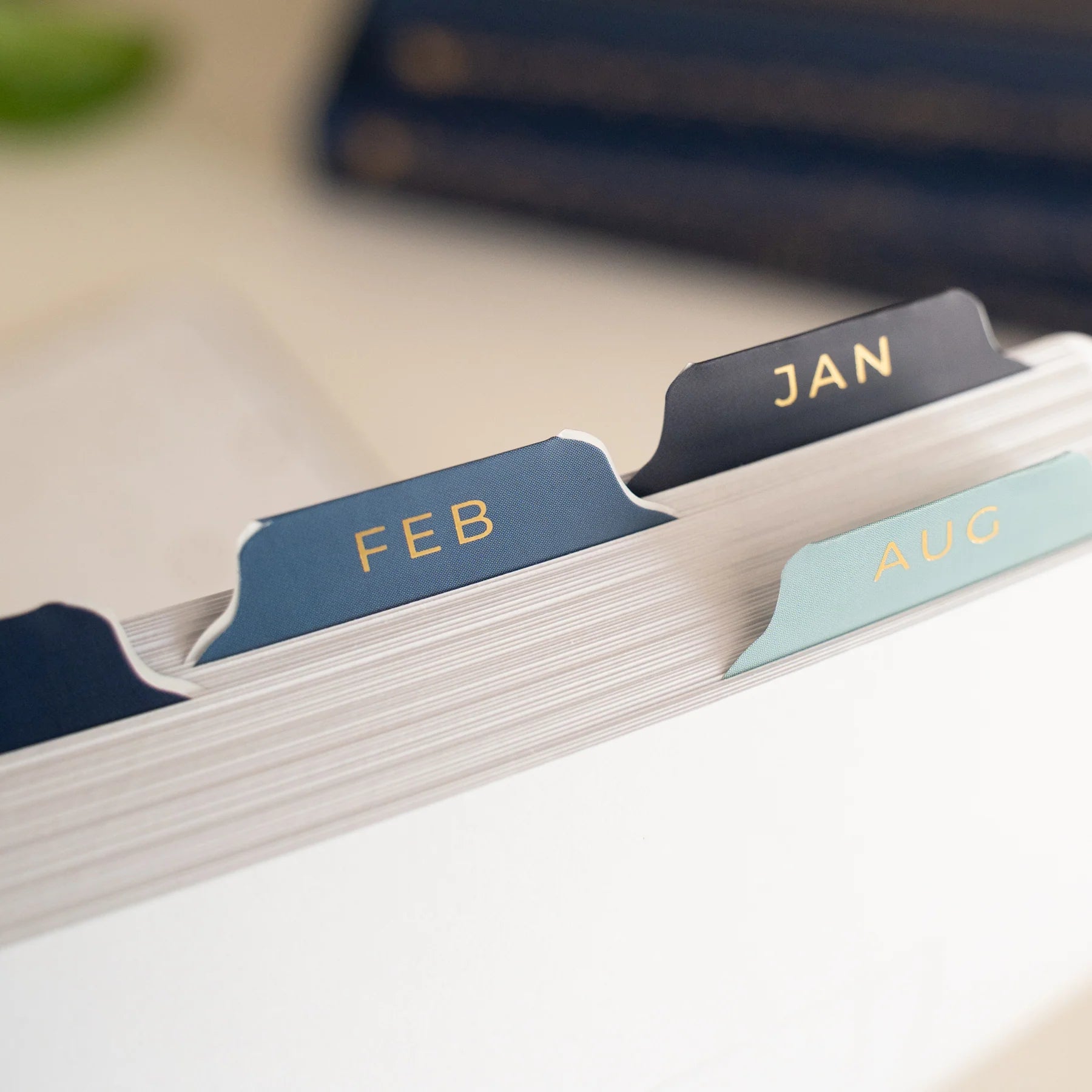 Monthly Vinyl Planner Tabs | Majestic Skies [PRE-ORDER]