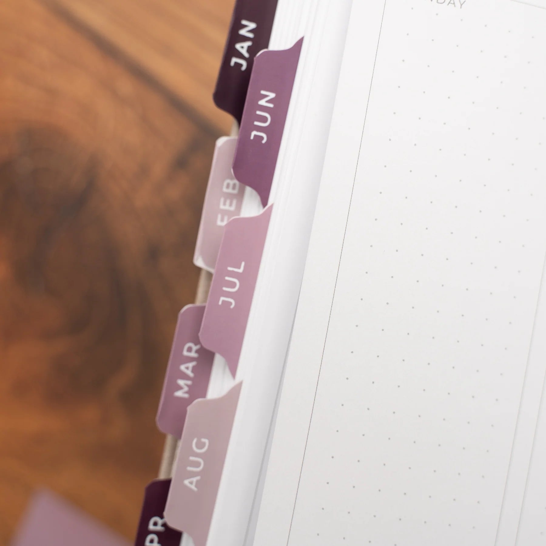 Monthly Vinyl Planner Tabs | Songbird [PRE-ORDER]