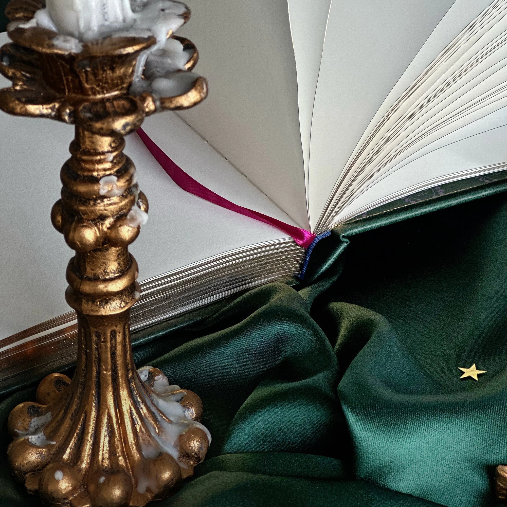 Literati Journal in Forest Green by The Quirky Cup Collective - Paper Kooka Stationery Shop Australia
