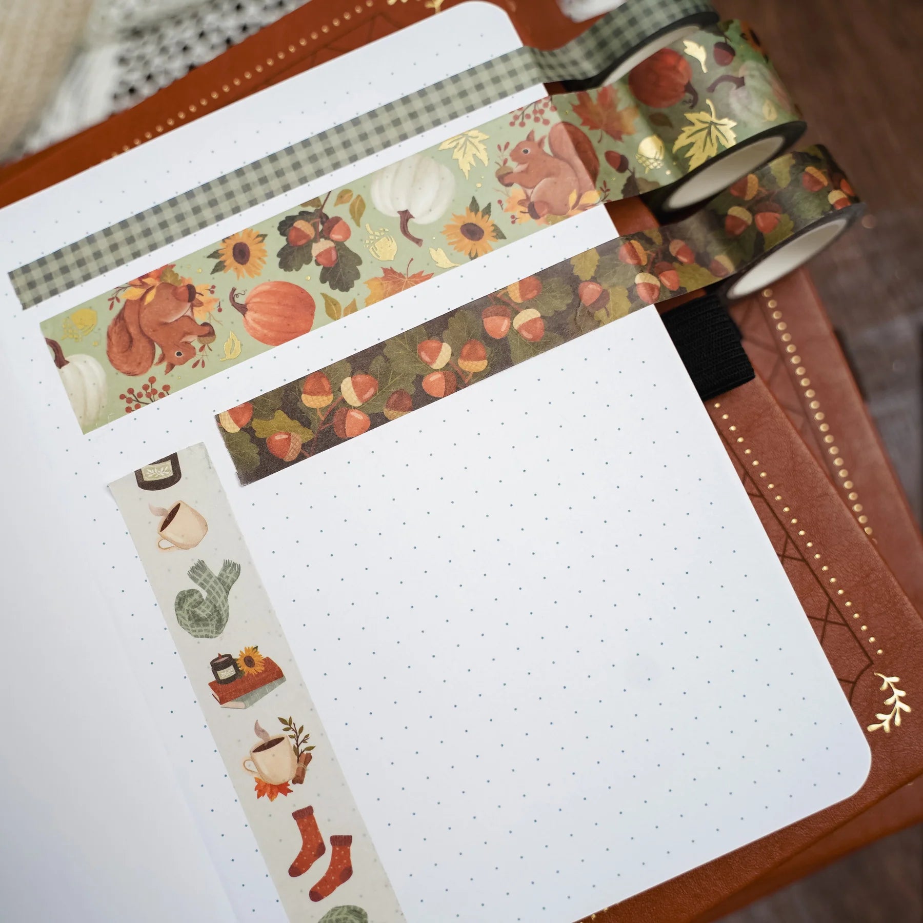 Archer & Olive Acorns Washi Tape Set - Paper Kooka Stationery Shop Australia