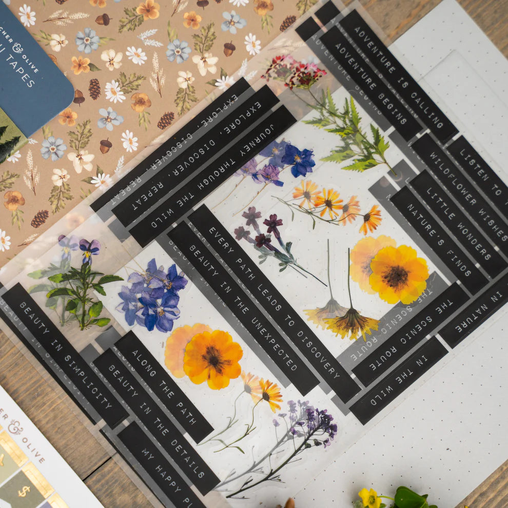 Nature Walk Planning Kit [PRE-ORDER]
