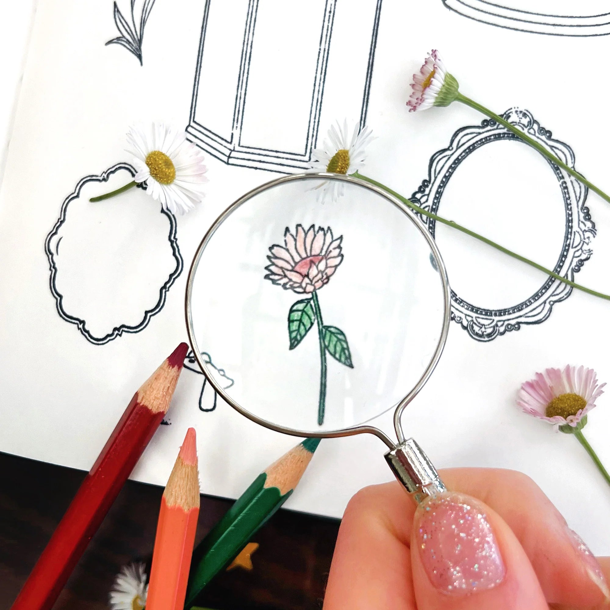 Frames & Florals Stamp Set by The Quirky Cup Collective - Paper Kooka Stationery Shop Australia