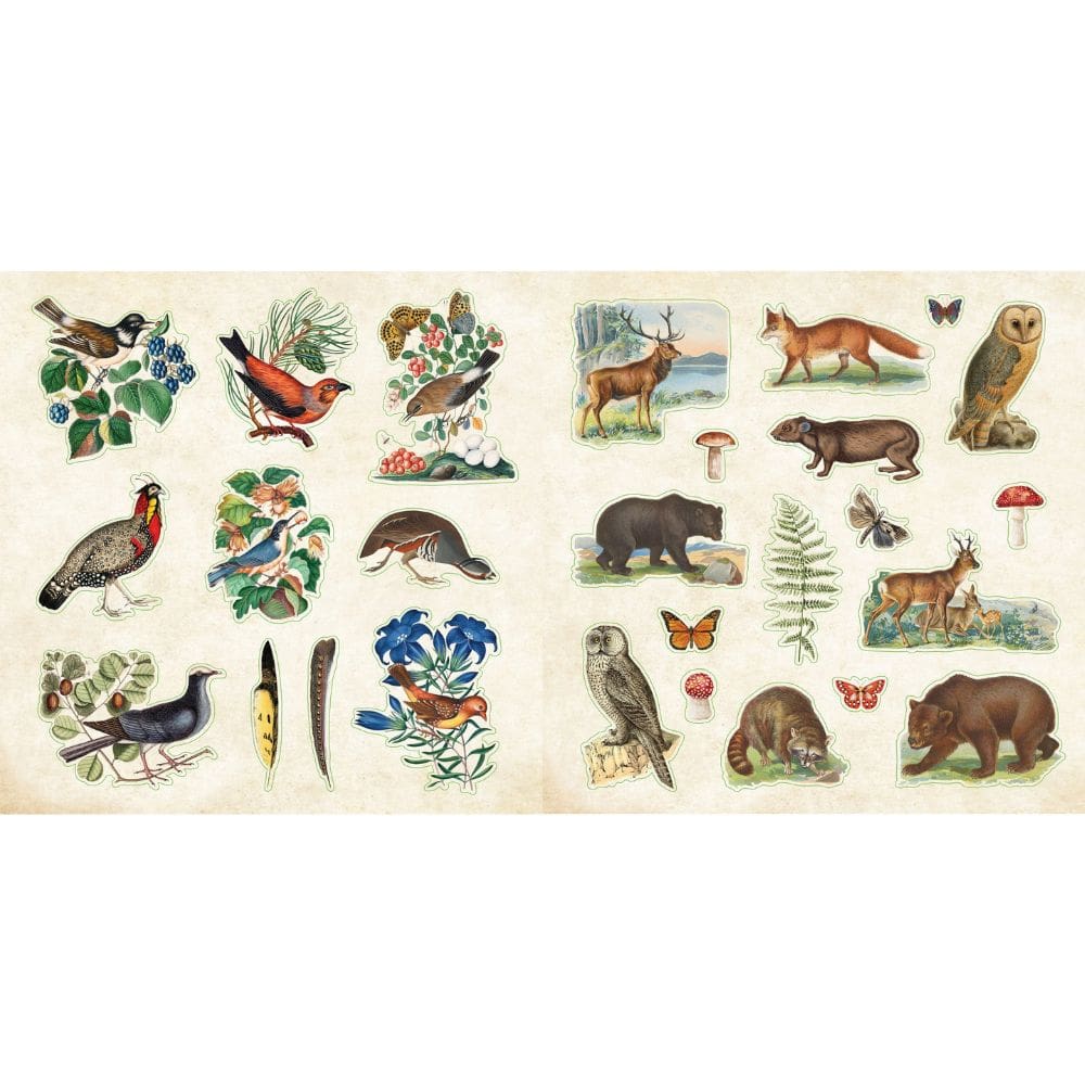 Zoological Ephemera Sticker Book by Peter Pauper Press - Paper Kooka Stationery Shop Australia
