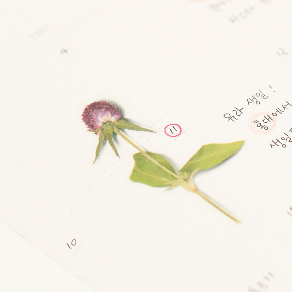 Pressed Flower Stickers - Globe Amaranth - Paper Kooka