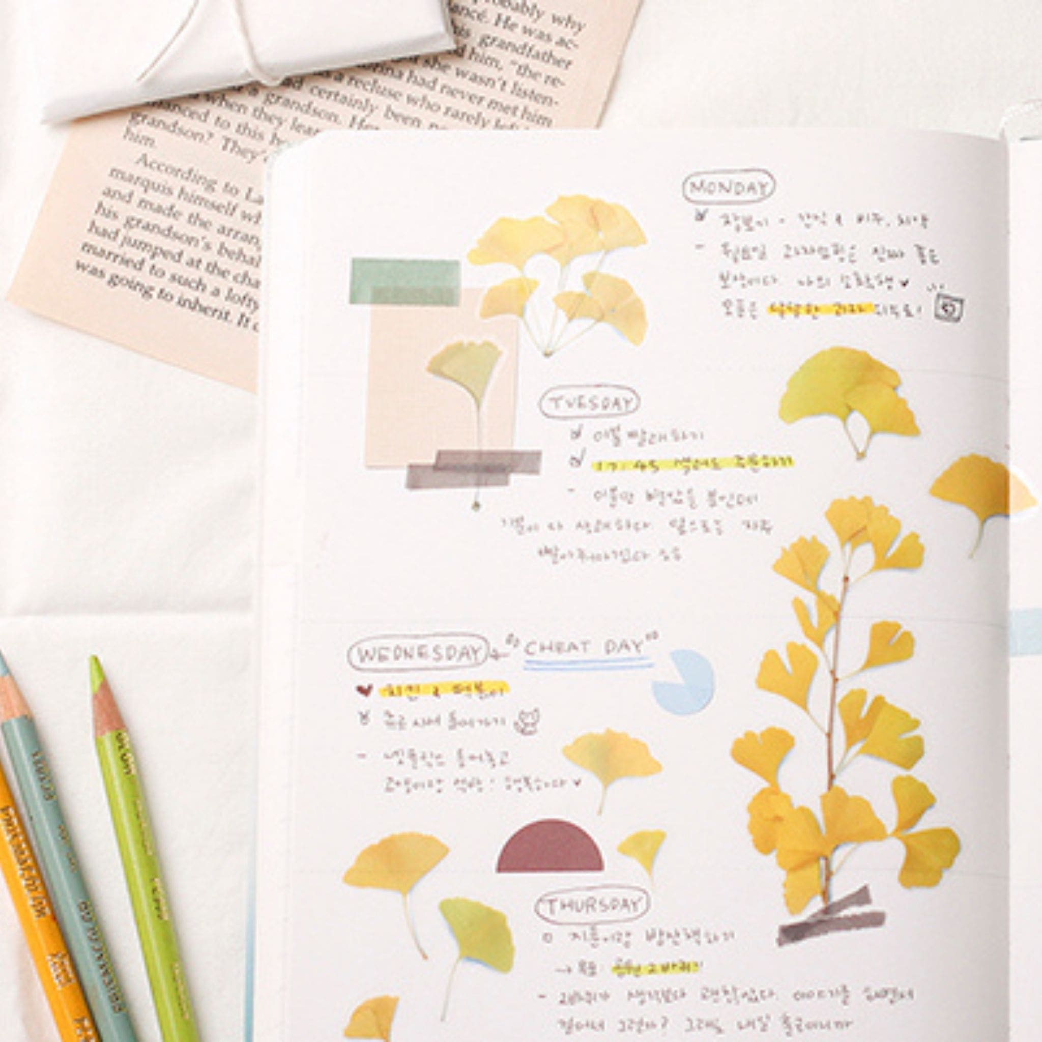 Appree Ginkgo Pressed Flower Stickers in the notebook - Paper Kooka