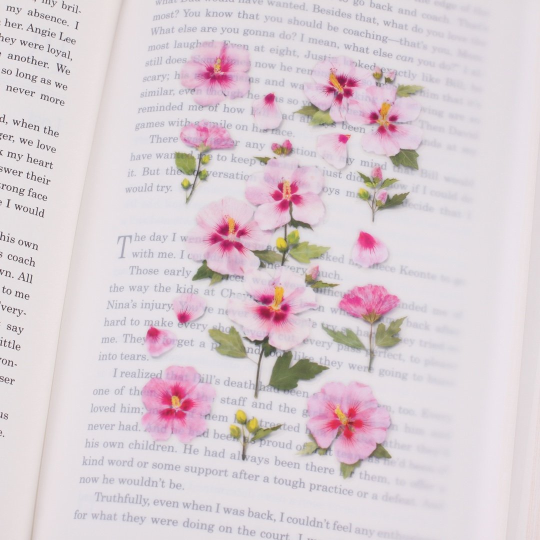 Appree Rose of Sharon stickers in book - Paper Kooka