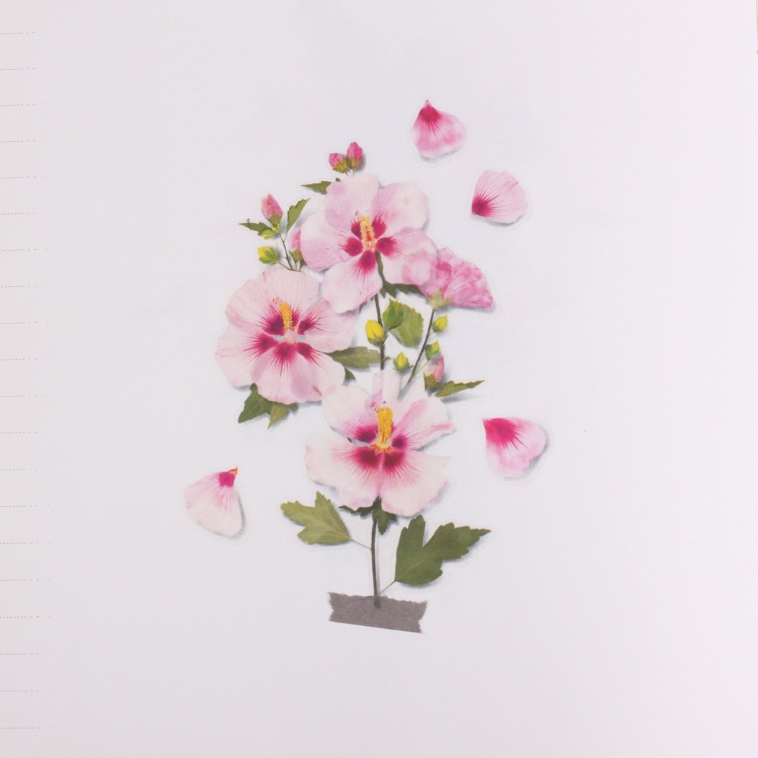 Appree Rose of Sharon pressed flower stickers - Paper Kooka