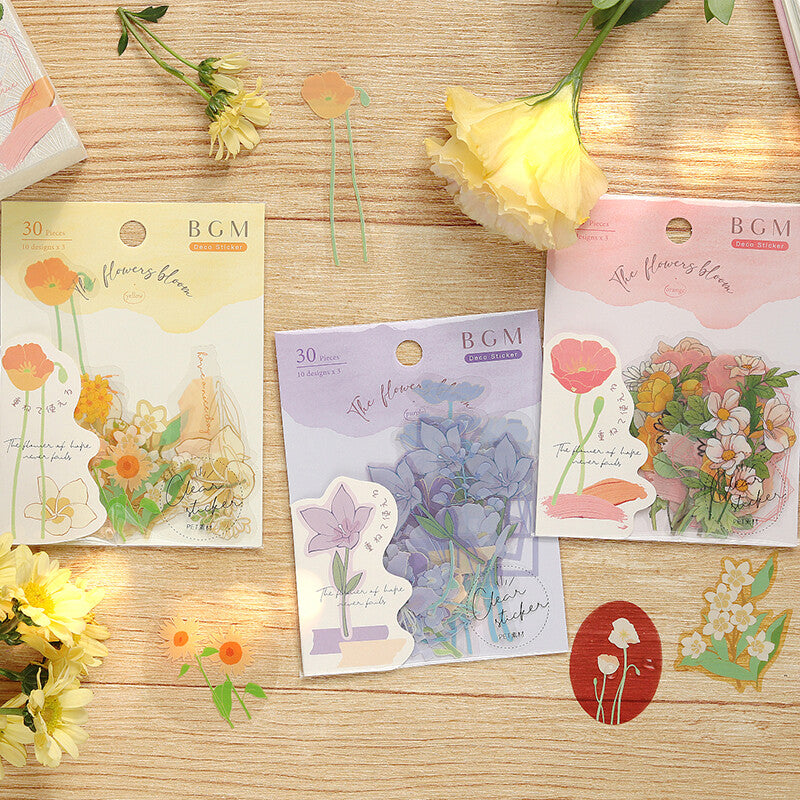 BGM Yellow Flowers Blossom PET Clear Stickers Collection - Paper Kooka Australia